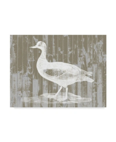 Trademark Global Jennifer Goldberger Woodgrain Fowl Ii Canvas Art In Multi