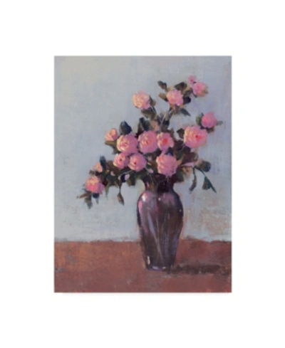 Trademark Global Tim Otoole Soft Lit Roses I Canvas Art - 20" X 25" In Multi
