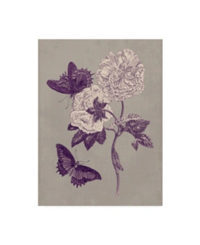 Trademark Global Maria S. Merian Nature Study In Plum & Taupe Iv Canvas Art In Multi