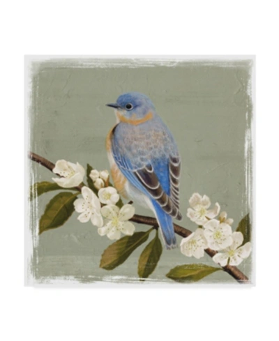 Trademark Global Victoria Borges Bluebird Branch Ii Canvas Art In Multi