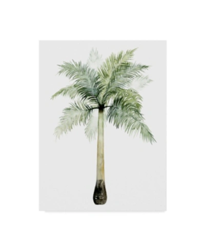 Trademark Global Grace Popp Watercolor Palm Of The Tropics Ii Canvas Art In Multi
