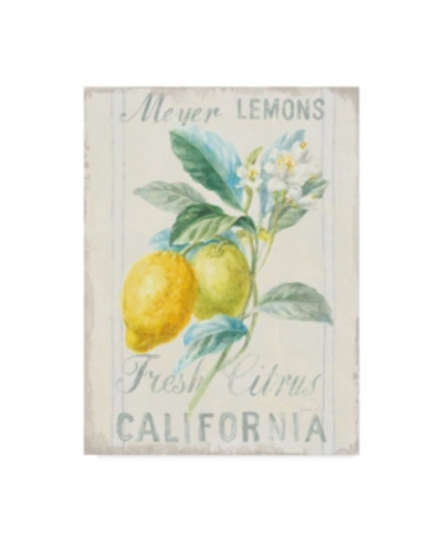 Trademark Global Danhui Nai Floursack Lemon Ii Canvas Art In Multi