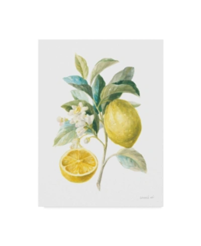 Trademark Global Danhui Nai Floursack Lemon Iii On White Canvas Art In Multi
