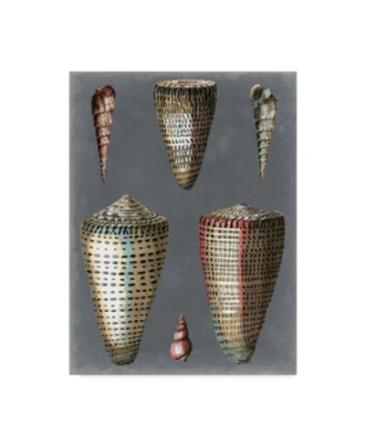 Trademark Global Pierre Redoute Midnight Shells I Canvas Art In Multi