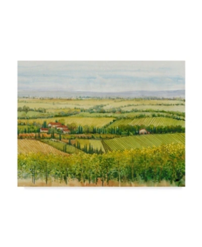 Trademark Global Tim Otoole Wine Country View I Canvas Art In Multi