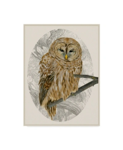 Trademark Global Melissa Wang Barred Owl I Canvas Art In Multi