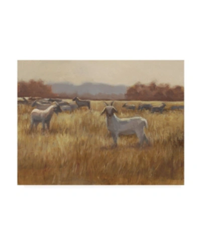 Trademark Global Ethan Harper Grazing Goats I Canvas Art In Multi