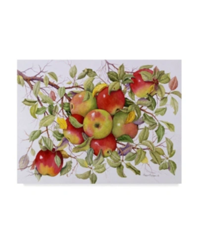 Trademark Global Marcia Matcham Apples On A Branch Canvas Art In Multi