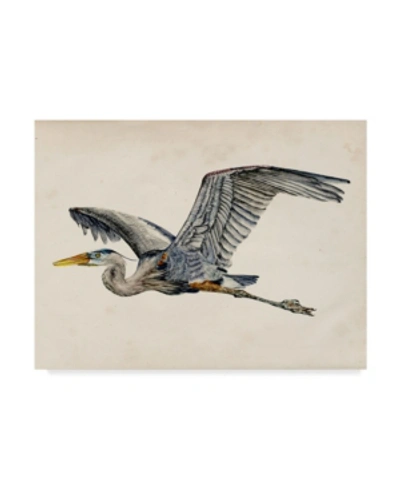 Trademark Global Melissa Wang Blue Heron Rendering Iii Canvas Art In Multi
