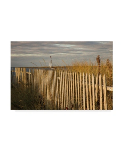 Trademark Global Aledanda Along The Beach Fence I Canvas Art In Multi