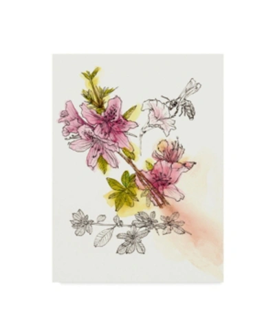 Trademark Global Melissa Wang Floral Field Notes I Canvas Art In Multi