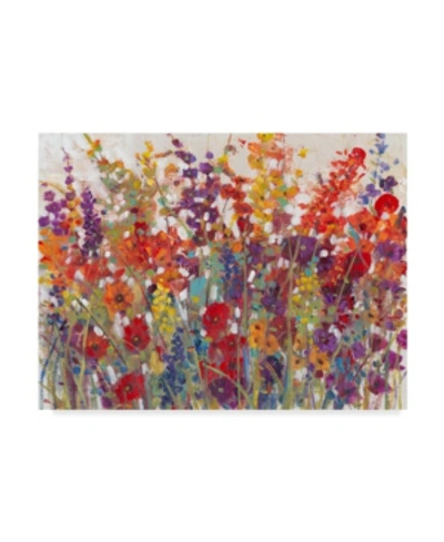 Trademark Global Tim Otoole Variety Of Flowers Ii Canvas Art In Multi
