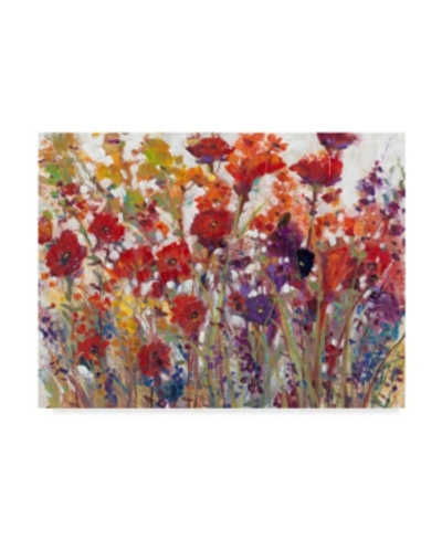 Trademark Global Tim Otoole Variety Of Flowers I Canvas Art In Multi