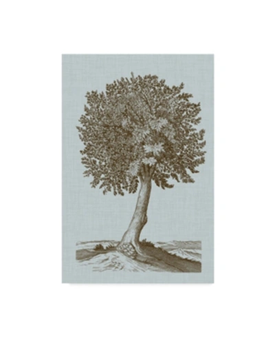 Trademark Global Vision Studio Antique Tree In Sepia I Canvas Art In Multi