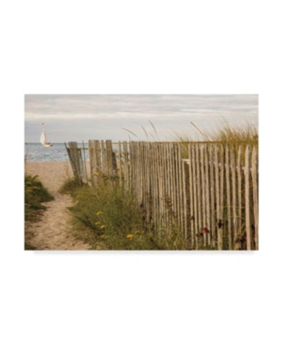 Trademark Global Aledanda Along The Beach Fence Ii Canvas Art In Multi