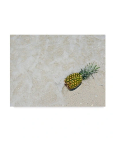 Trademark Global Adam Mead South Florida Pineapple V Canvas Art In Multi