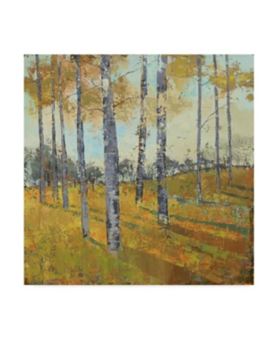 Trademark Global Julie Joy Thicket On The Hill I Canvas Art In Multi