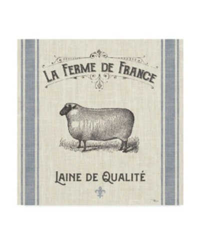 Trademark Global Pela Studio French Farmhouse V Canvas Art In Multi