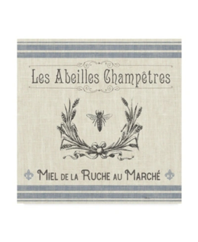 Trademark Global Pela Studio French Farmhouse Iii Canvas Art In Multi