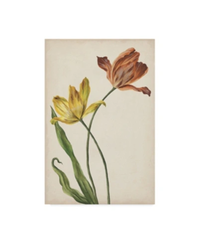 Trademark Global Melissa Wang Two Tulips I Canvas Art In Multi