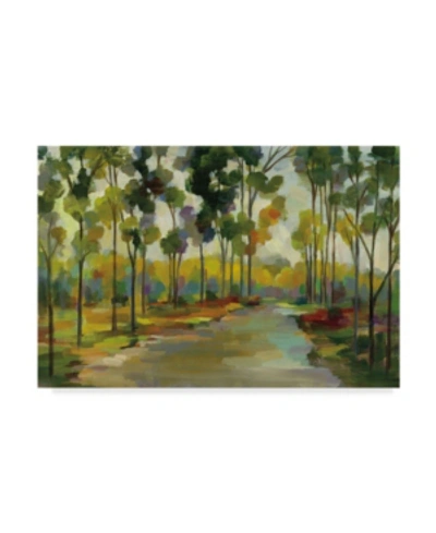 Trademark Global Silvia Vassileva Path In The Forest Canvas Art In Multi