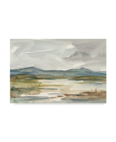 Trademark Global Ethan Harper Overcast Wetland I Canvas Art In Multi