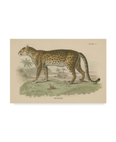 Trademark Global Wild Apple Portfolio Vintage Leopard Canvas Art In Multi