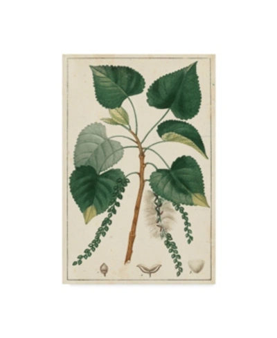 Trademark Global Turpin Turpin Poplar Tree Canvas Art In Multi