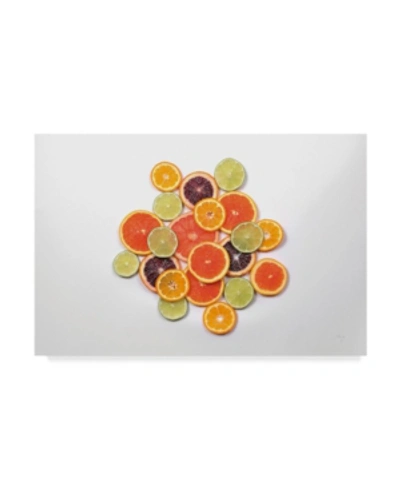 Trademark Global Felicity Bradley Sunny Citrus Ii Canvas Art In Multi