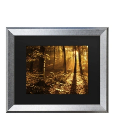 Trademark Global Philippe Sainte-laudy Morning Light Matted Framed Art - 27" X 33" In Multi