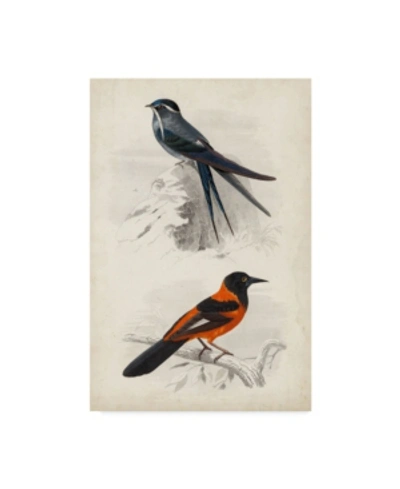 Trademark Global M. Charles D'orbigny D'orbigny Birds Vii Canvas Art In Multi