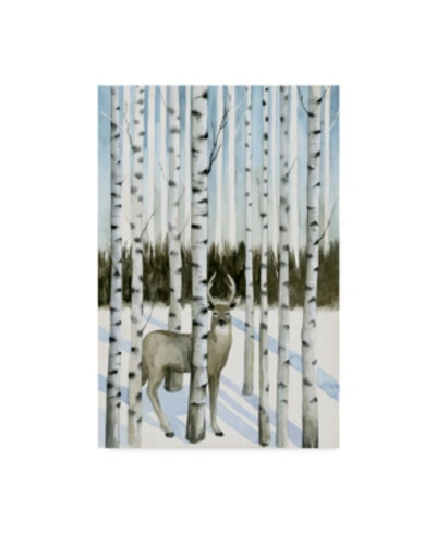 Trademark Global Grace Popp Deer In Snowfall I Canvas Art In Multi