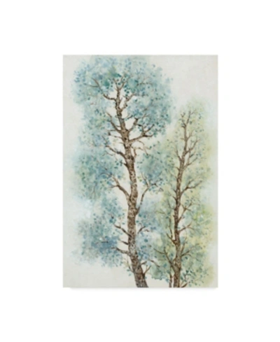 Trademark Global Tim Otoole Tranquil Tree Tops I Canvas Art In Multi