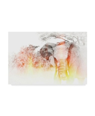 Trademark Global Golie Miamee Golden Elephant Canvas Art In Multi