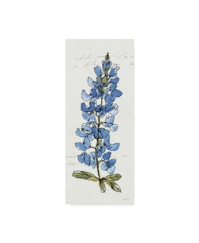 Trademark Global Anne Tavoletti Texas Bluebonnet Iii Canvas Art In Multi