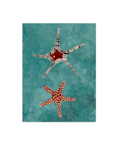 Trademark Global Alicia Ludwig Twin Starfish I Canvas Art In Multi