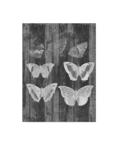 Trademark Global Jennifer Goldberger Rustic Butterfly Chart Iii Canvas Art In Multi