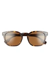 Burberry 53mm Polarized Square Sunglasses In Dark Havana/ Polarized Brown