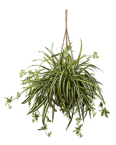 Nearly Natural Spider Plant Hanging Basket In Green
