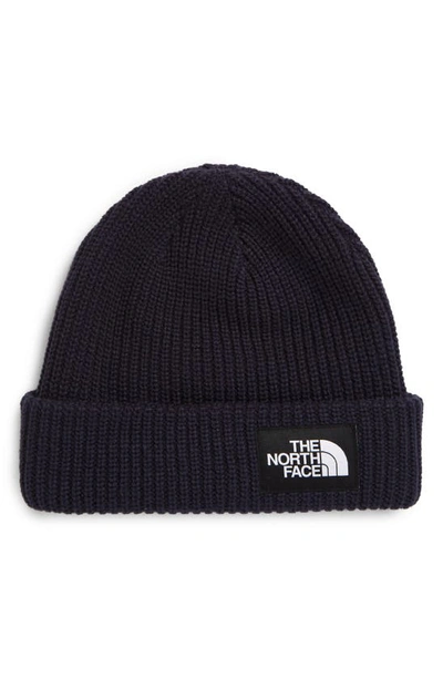 The North Face Salty Dog Beanie In Aviator Navy