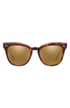 Oliver Peoples Marianela 54mm Cat Eye Sunglasses In Dark Mahogany