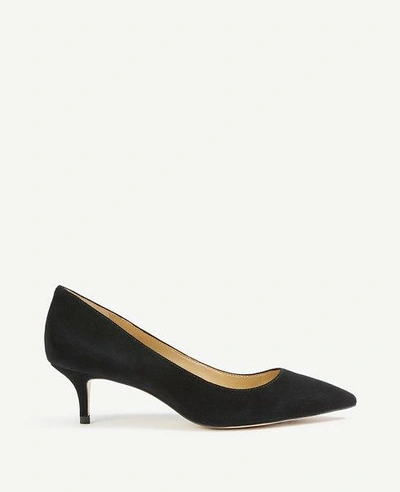 Ann Taylor Reese Suede Pumps In Black