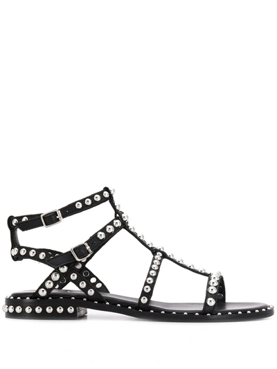 Ash Sandal With Studs Precious In Black