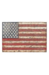 Willow Row Distressed Iron American Flag Wall Decor In Red