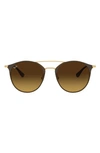 Ray Ban 52mm Round Sunglasses In Brown/ Gold