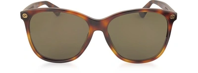 Gucci Designer Sunglasses Gg0024s Acetate Round Oversized Women's Sunglasses In Havana/ Marron