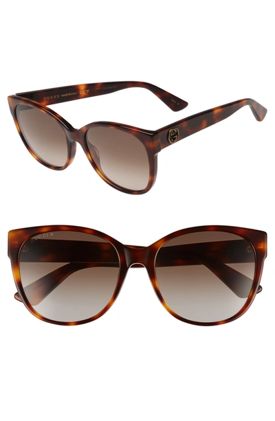 Gucci Designer Sunglasses Gg0097s 006 Havana Acetate Cat Eye Women's Polarized Sunglasses In Marron