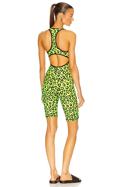 Adam Selman Sport French Cut Leopard-print Bodysuit In Neon Leopard