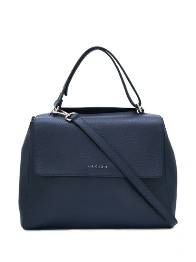 Orciani Logo Top-handle Tote In Blue