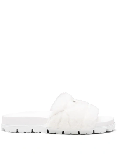 Prada Logo Genuine Shearling Slide Sandal In Bianco
